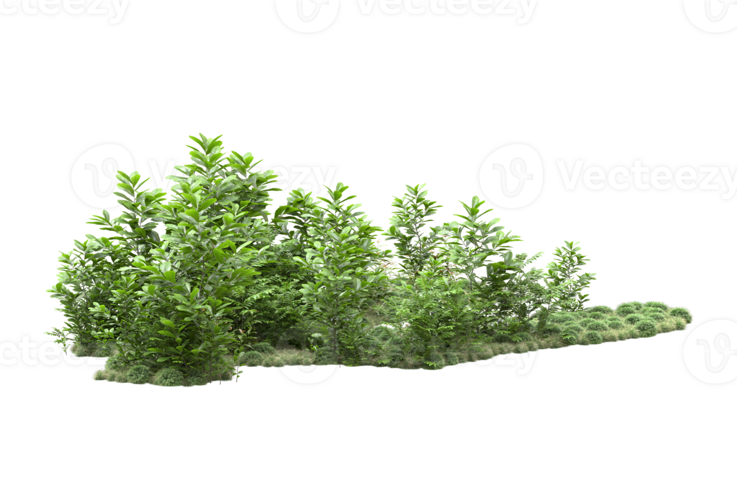 Realistic forest isolated on transparent background. 3d rendering - illustration png