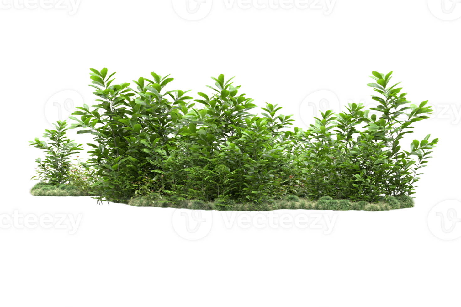 Realistic forest isolated on transparent background. 3d rendering - illustration png