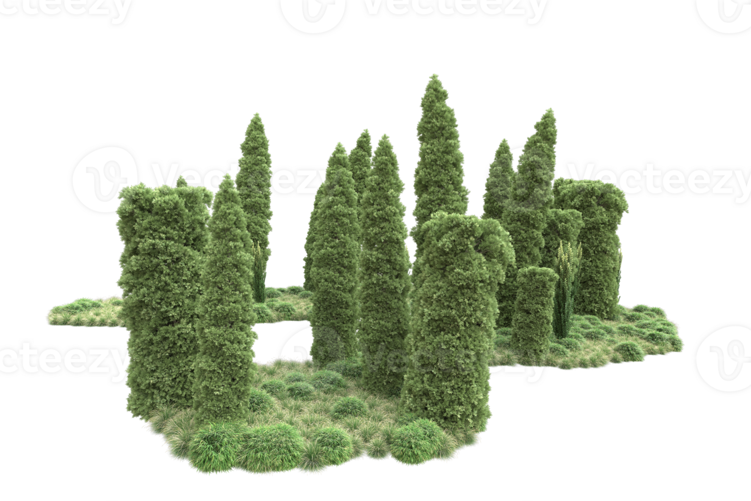 Realistic forest isolated on transparent background. 3d rendering - illustration png