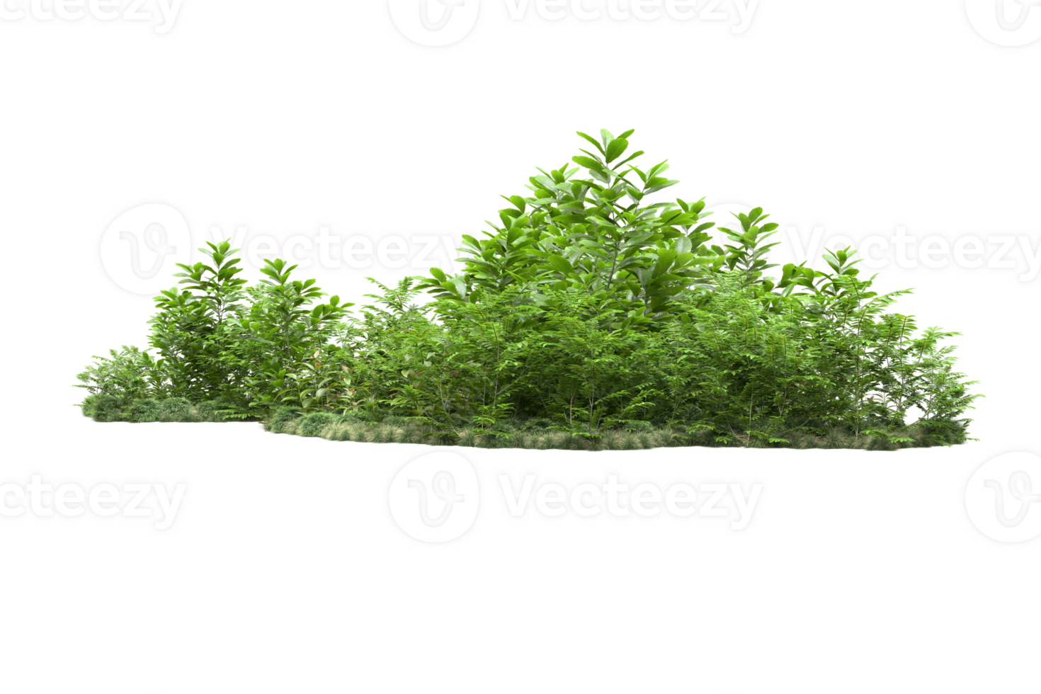 Realistic forest isolated on transparent background. 3d rendering - illustration png