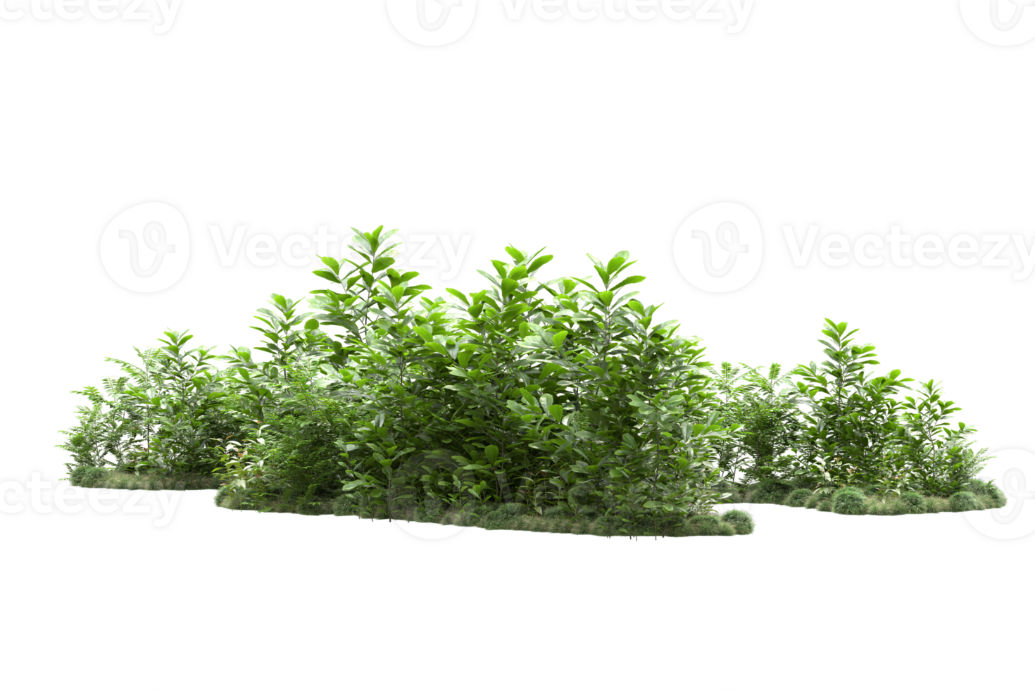 Realistic forest isolated on transparent background. 3d rendering - illustration png