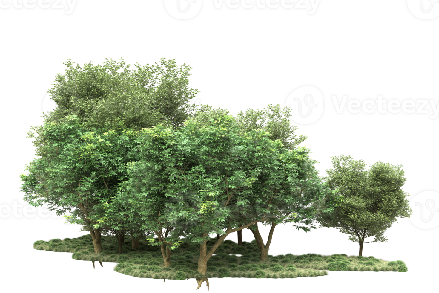 Realistic forest isolated on transparent background. 3d rendering - illustration png