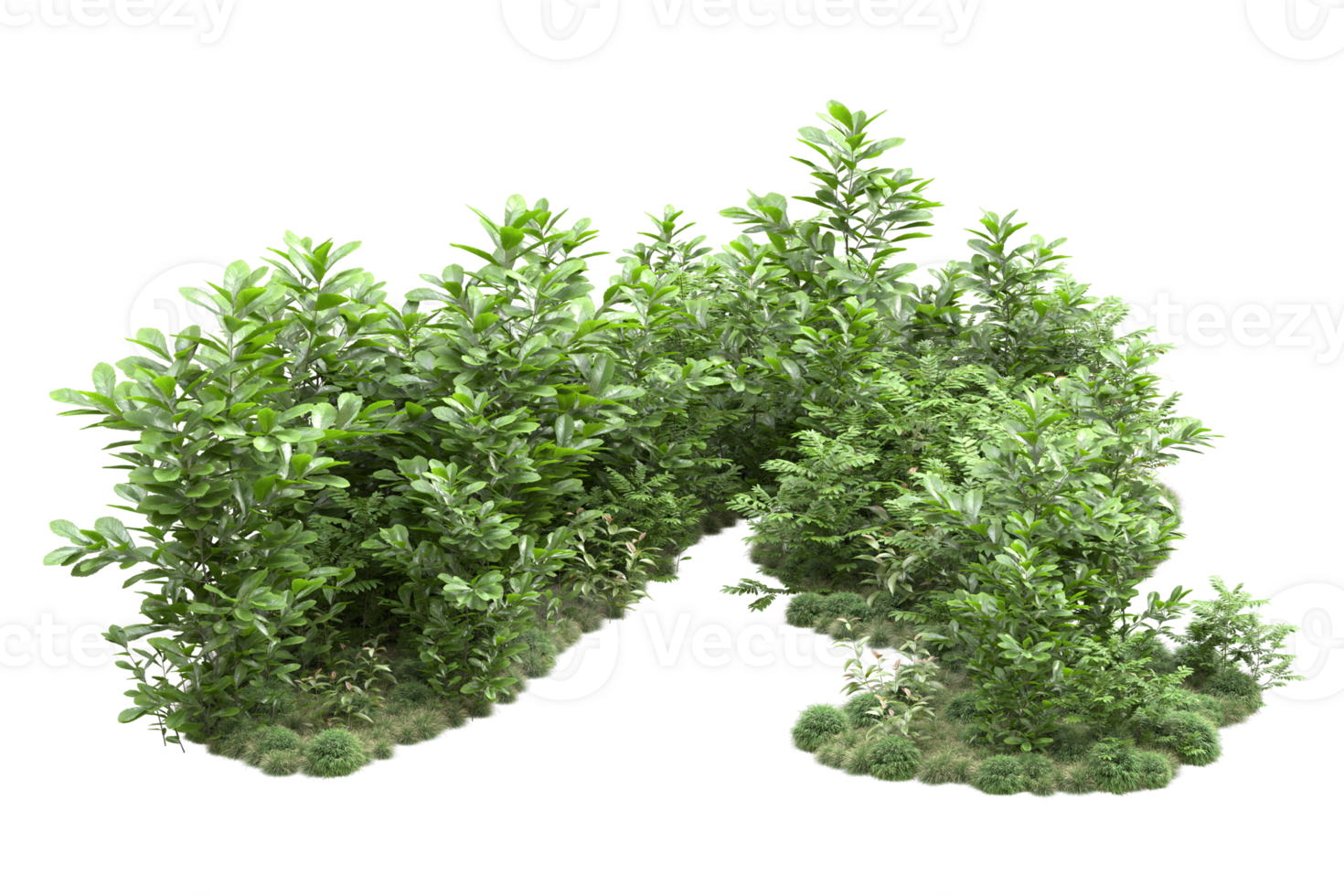 Realistic forest isolated on transparent background. 3d rendering - illustration png