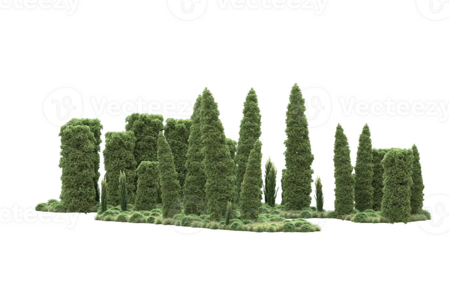 Realistic forest isolated on transparent background. 3d rendering - illustration png