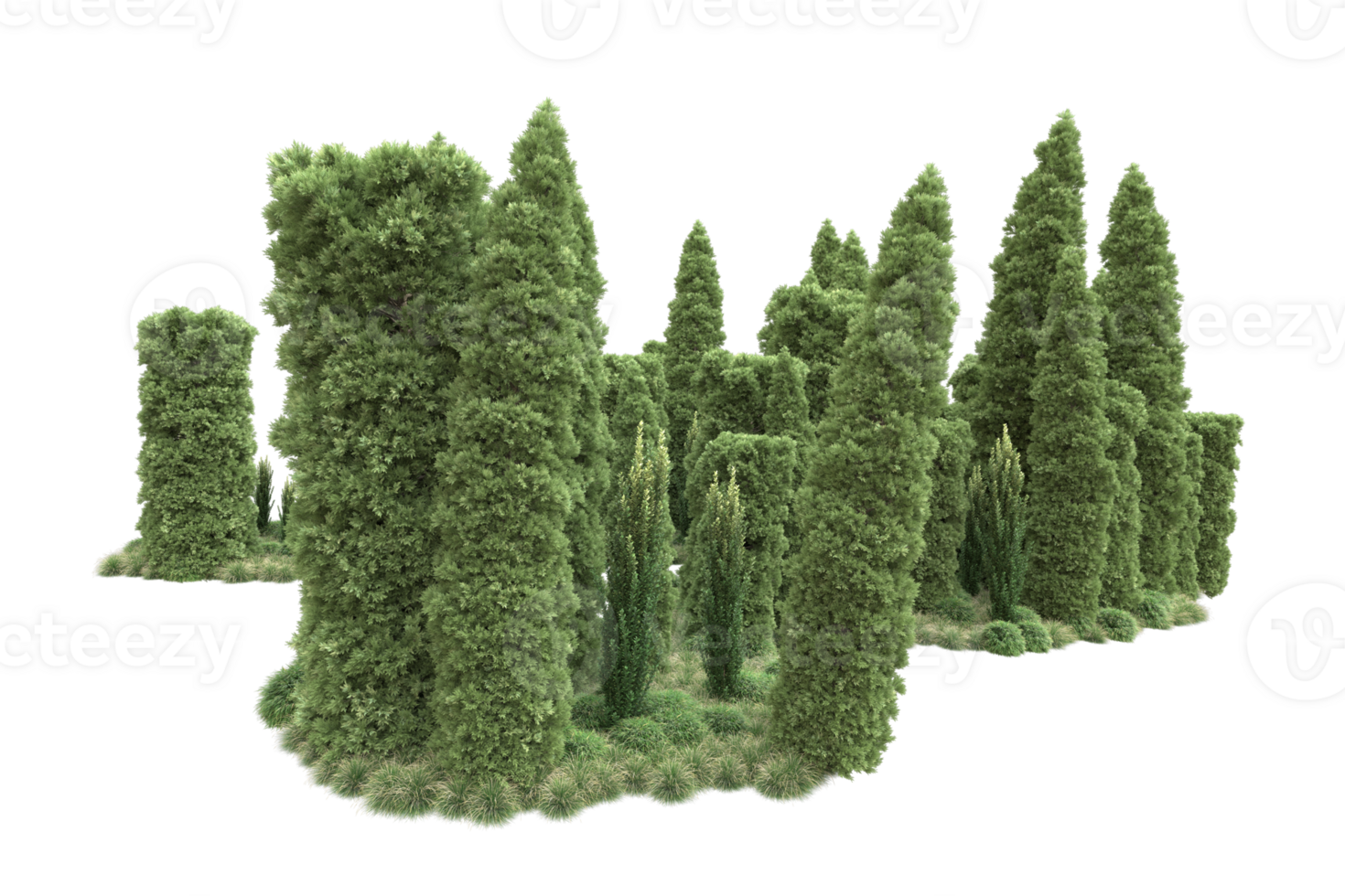 Realistic forest isolated on transparent background. 3d rendering - illustration png