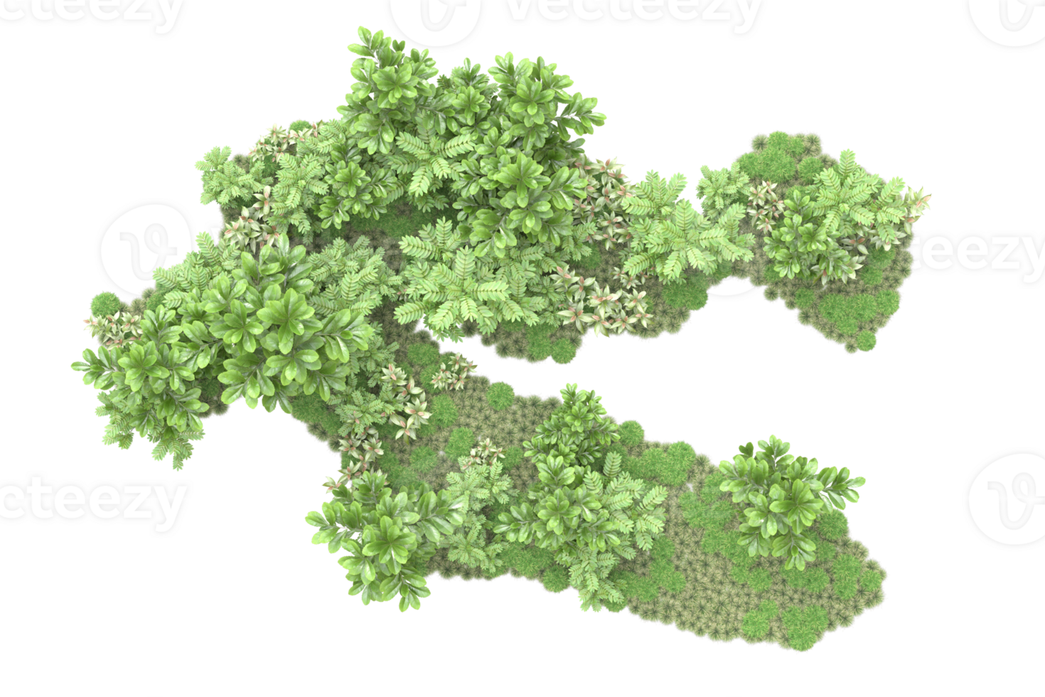Realistic forest isolated on transparent background. 3d rendering - illustration png