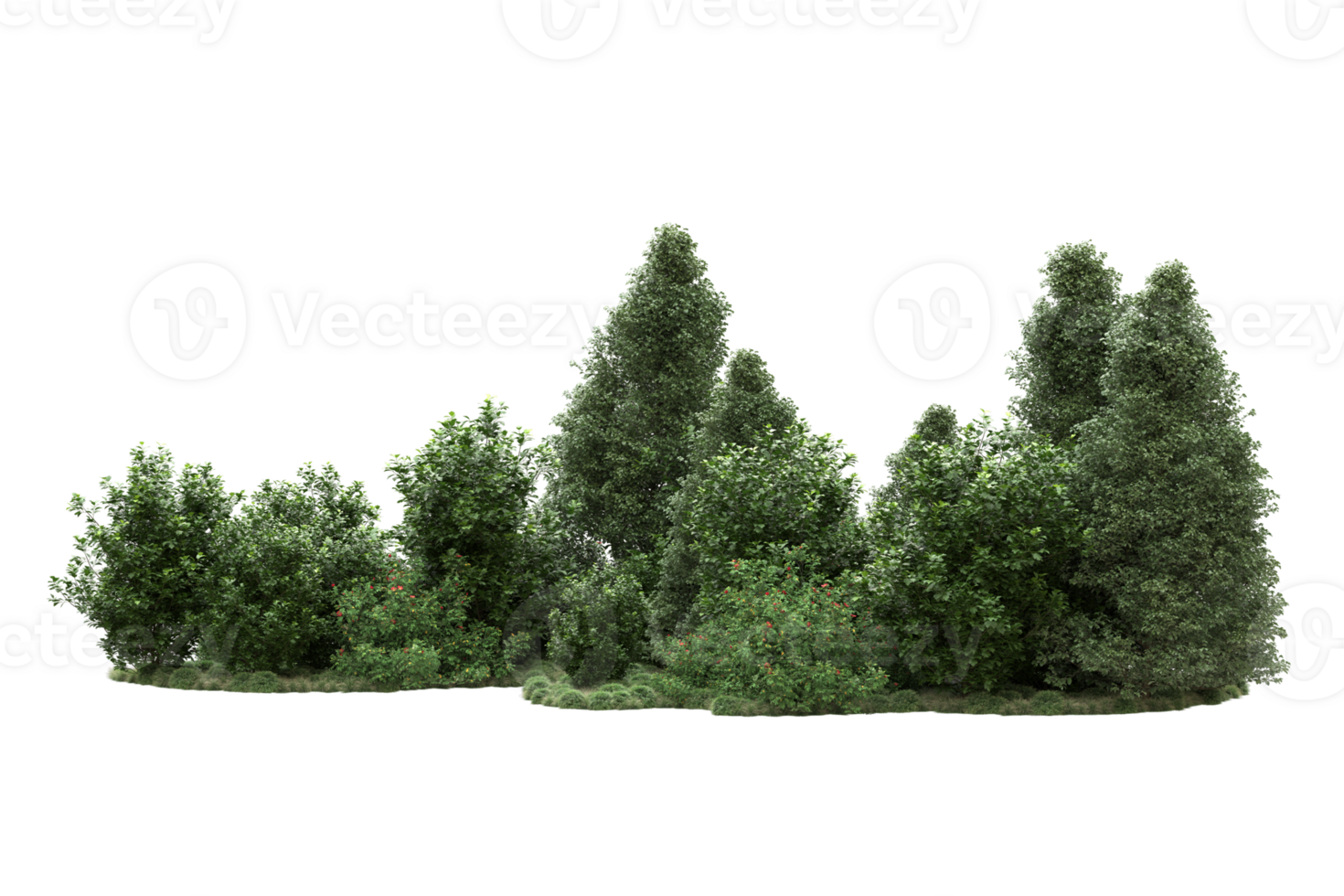 Realistic forest isolated on transparent background. 3d rendering - illustration png