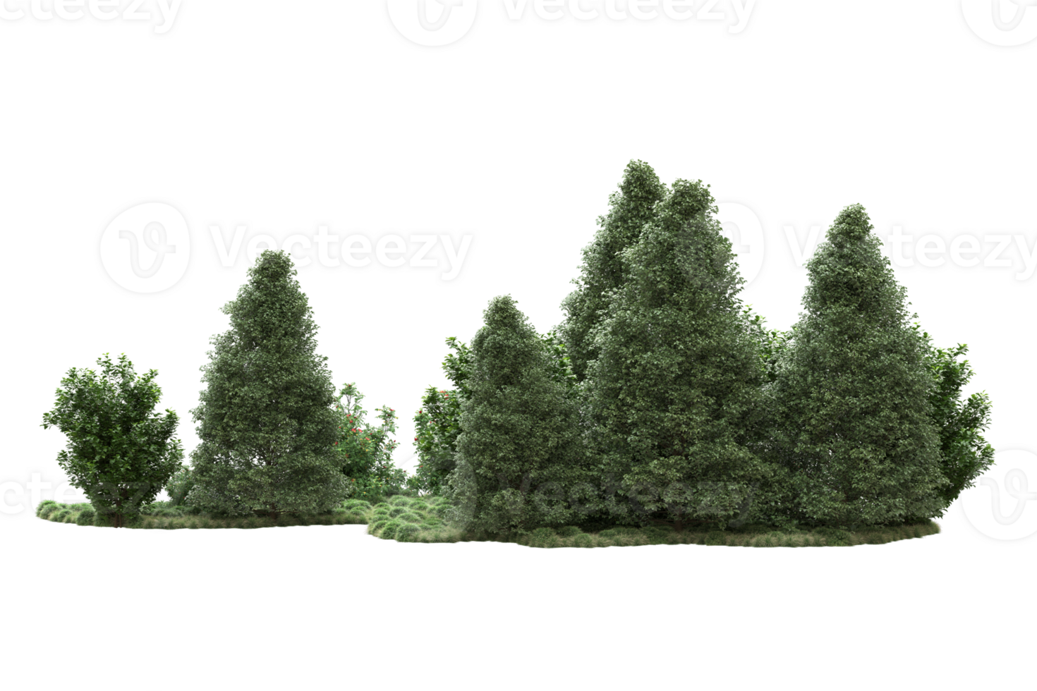 Realistic forest isolated on transparent background. 3d rendering - illustration png