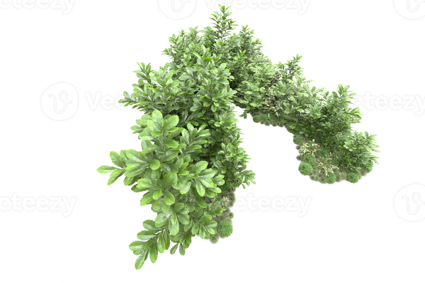 Realistic forest isolated on transparent background. 3d rendering - illustration png