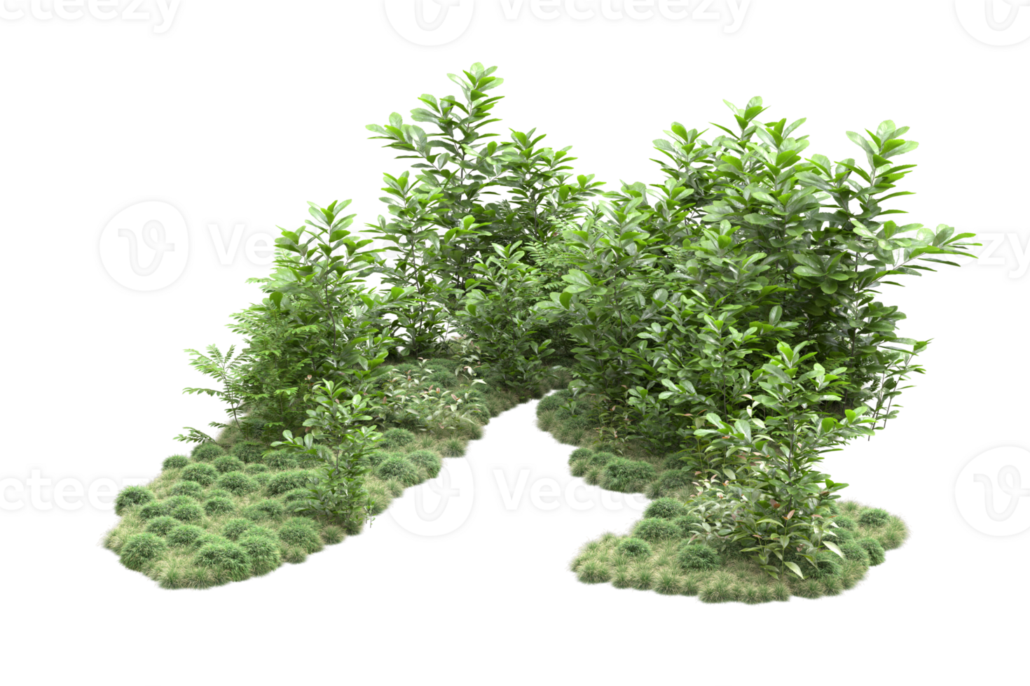 Realistic forest isolated on transparent background. 3d rendering - illustration png