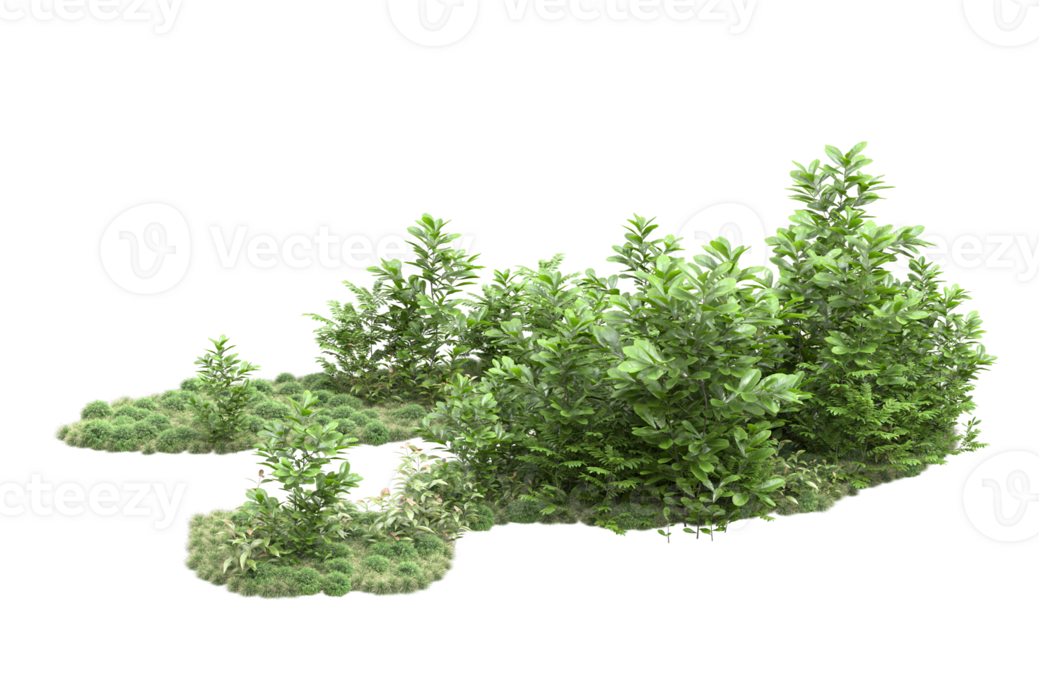 Realistic forest isolated on transparent background. 3d rendering - illustration png