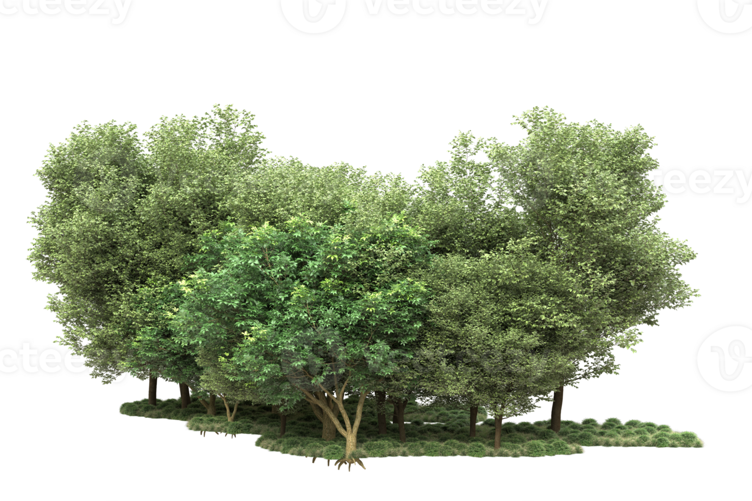 Realistic forest isolated on transparent background. 3d rendering - illustration png