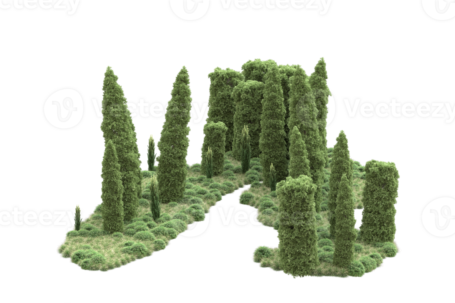 Realistic forest isolated on transparent background. 3d rendering - illustration png