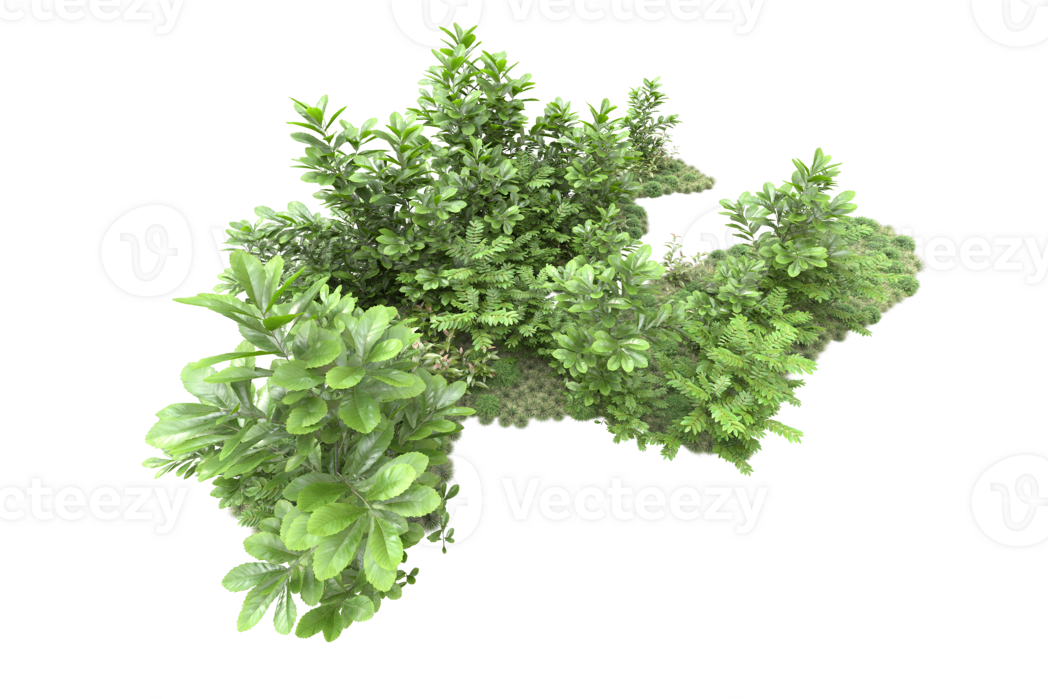 Realistic forest isolated on transparent background. 3d rendering - illustration png