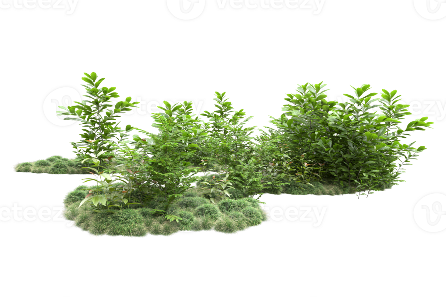 Realistic forest isolated on transparent background. 3d rendering - illustration png
