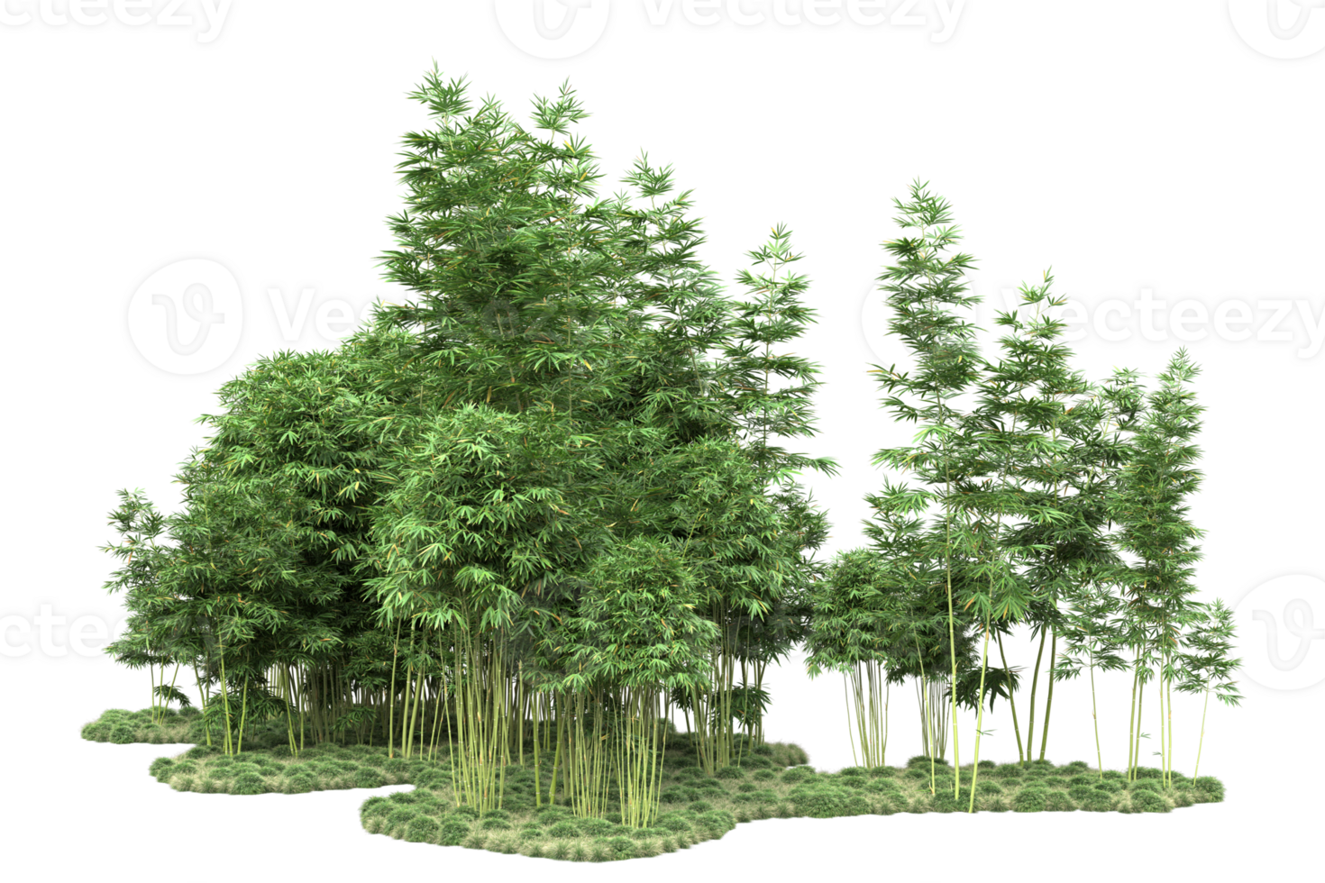 Realistic forest isolated on transparent background. 3d rendering - illustration png