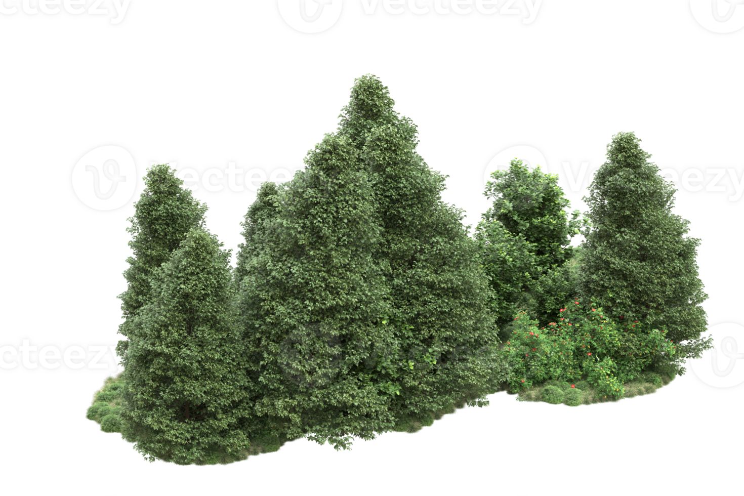 Realistic forest isolated on transparent background. 3d rendering - illustration png