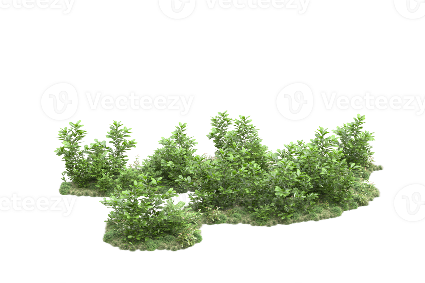 Realistic forest isolated on transparent background. 3d rendering - illustration png