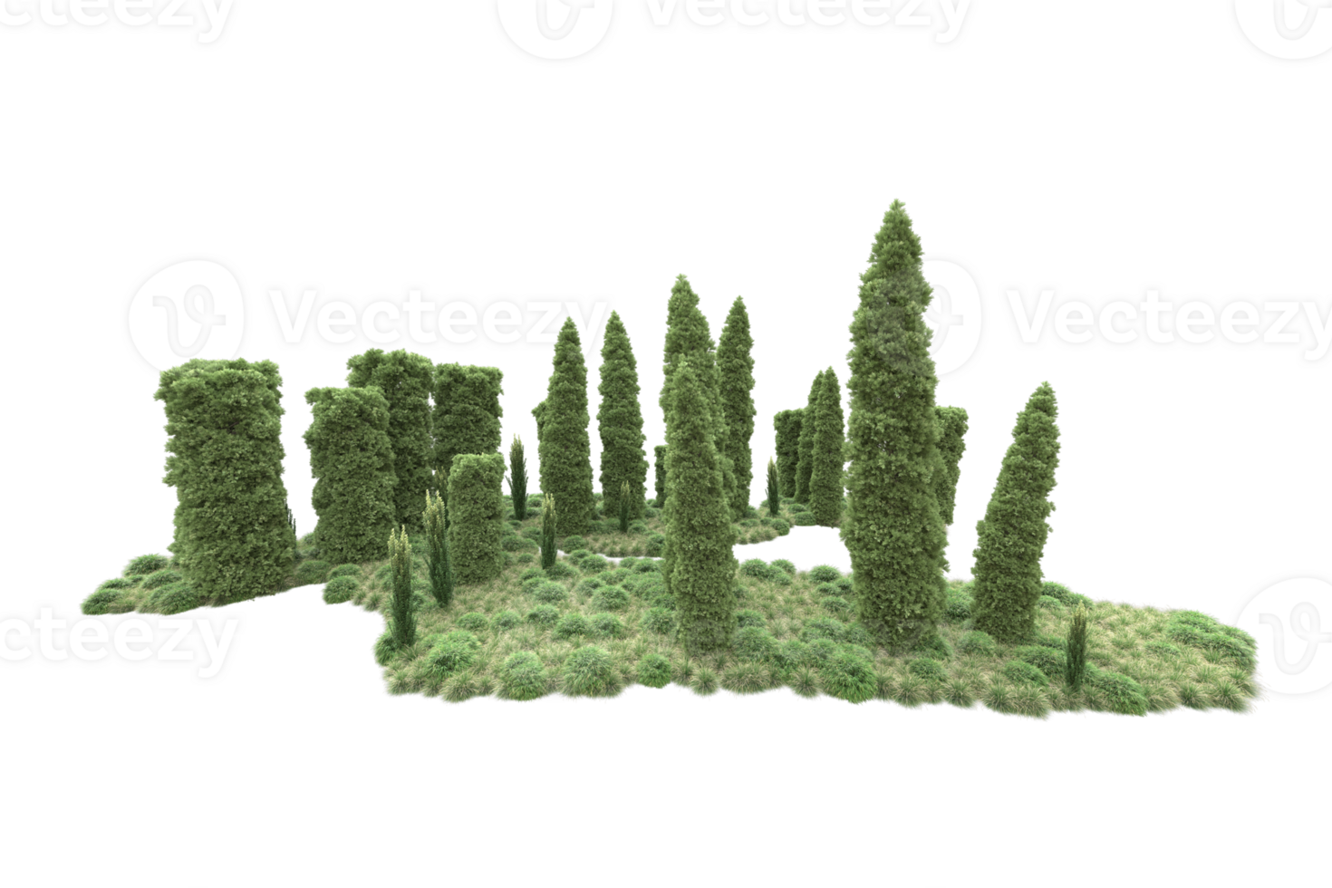 Realistic forest isolated on transparent background. 3d rendering - illustration png