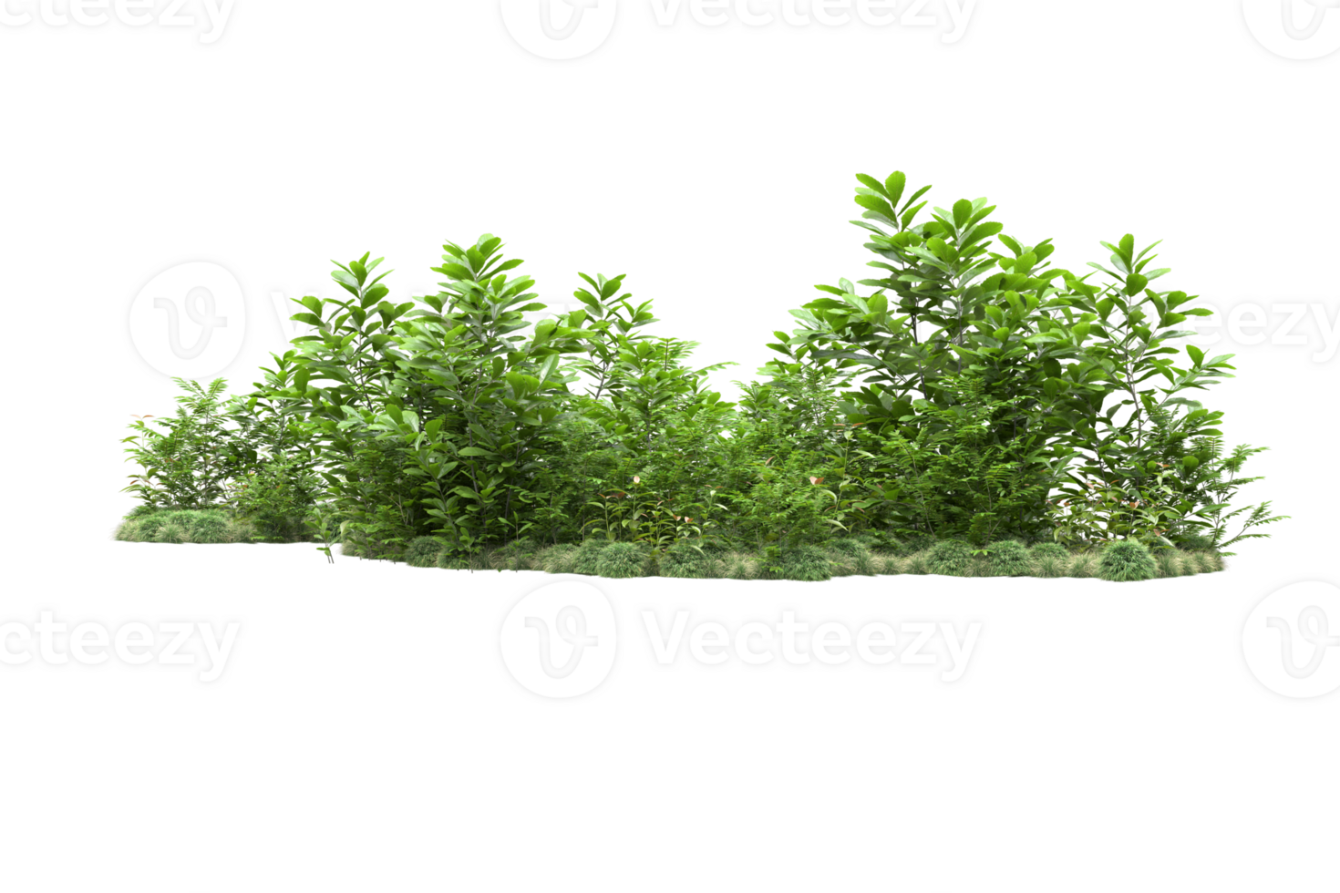 Realistic forest isolated on transparent background. 3d rendering - illustration png