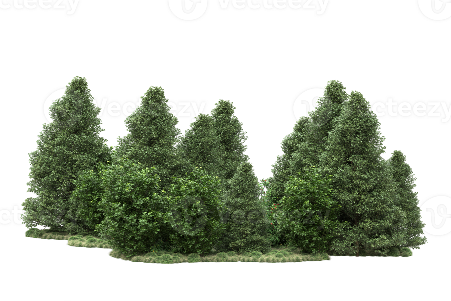 Realistic forest isolated on transparent background. 3d rendering - illustration png