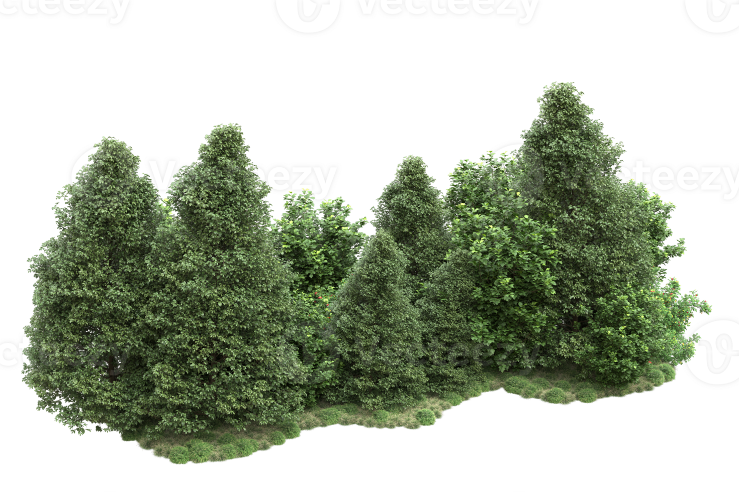 Realistic forest isolated on transparent background. 3d rendering - illustration png