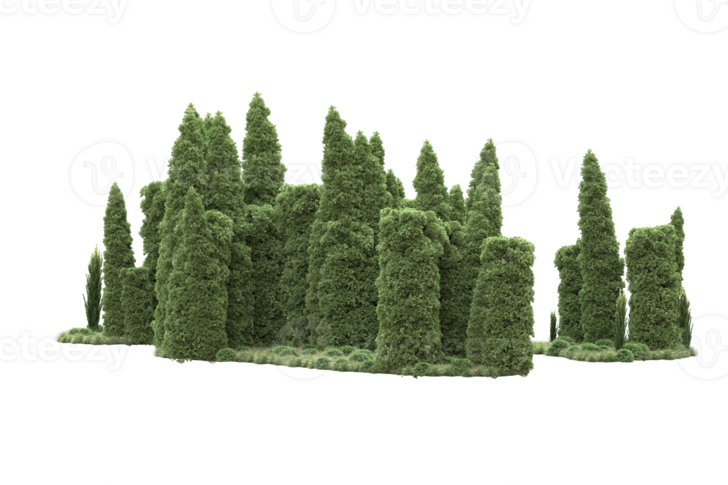 Realistic forest isolated on transparent background. 3d rendering - illustration png