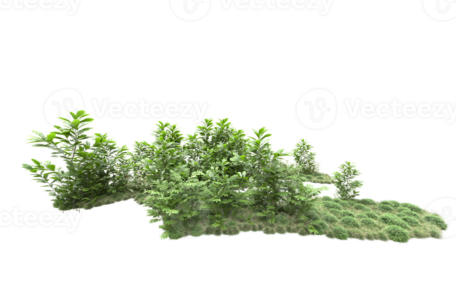 Realistic forest isolated on transparent background. 3d rendering - illustration png