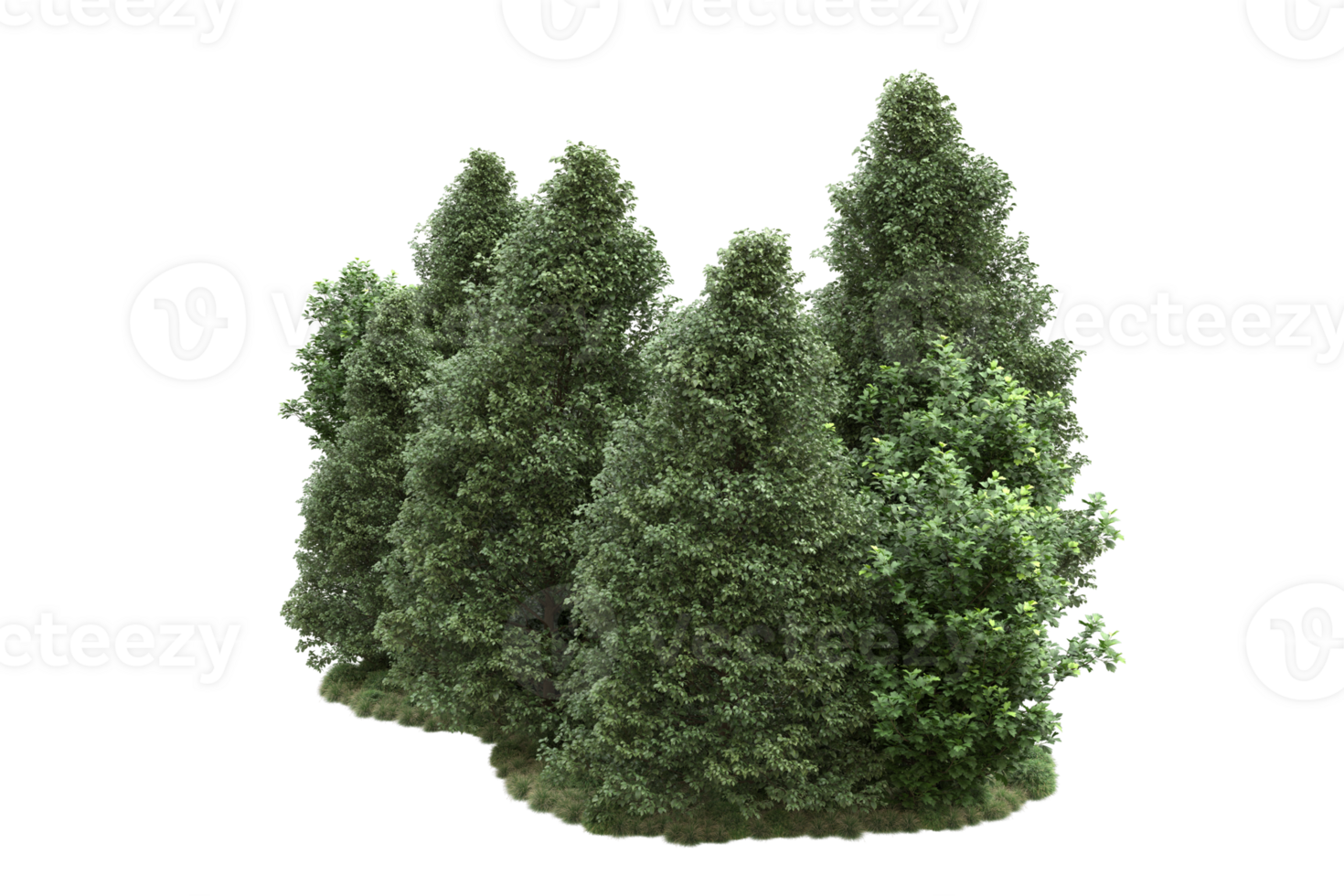 Realistic forest isolated on transparent background. 3d rendering - illustration png