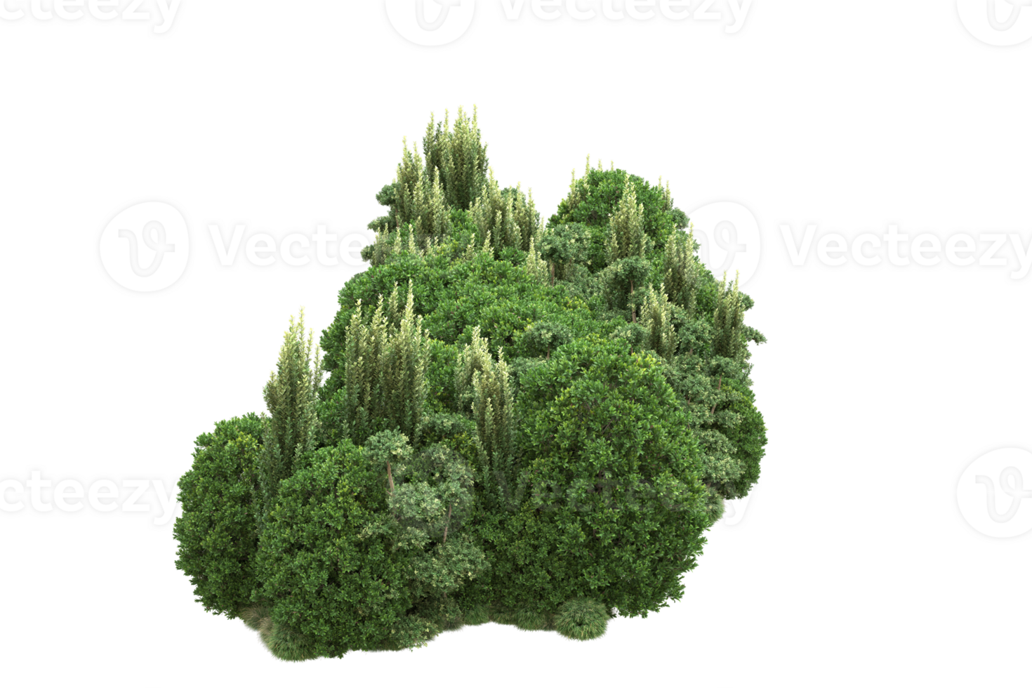 Realistic forest isolated on transparent background. 3d rendering - illustration png