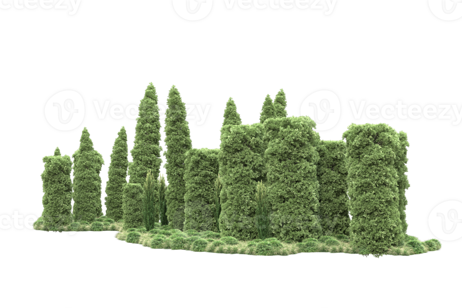 Realistic forest isolated on transparent background. 3d rendering - illustration png