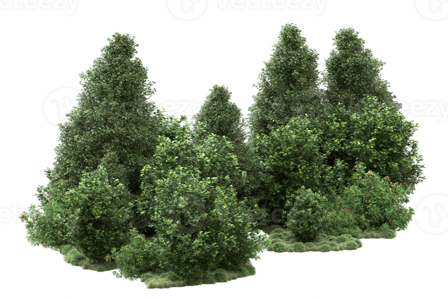Realistic forest isolated on transparent background. 3d rendering - illustration png