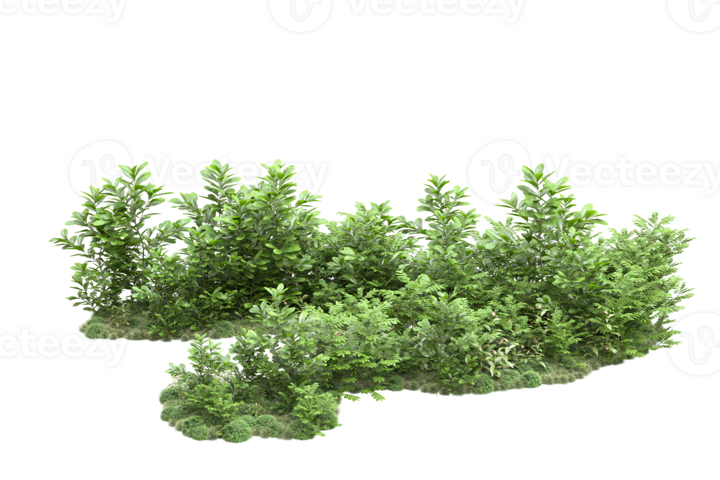 Realistic forest isolated on transparent background. 3d rendering - illustration png