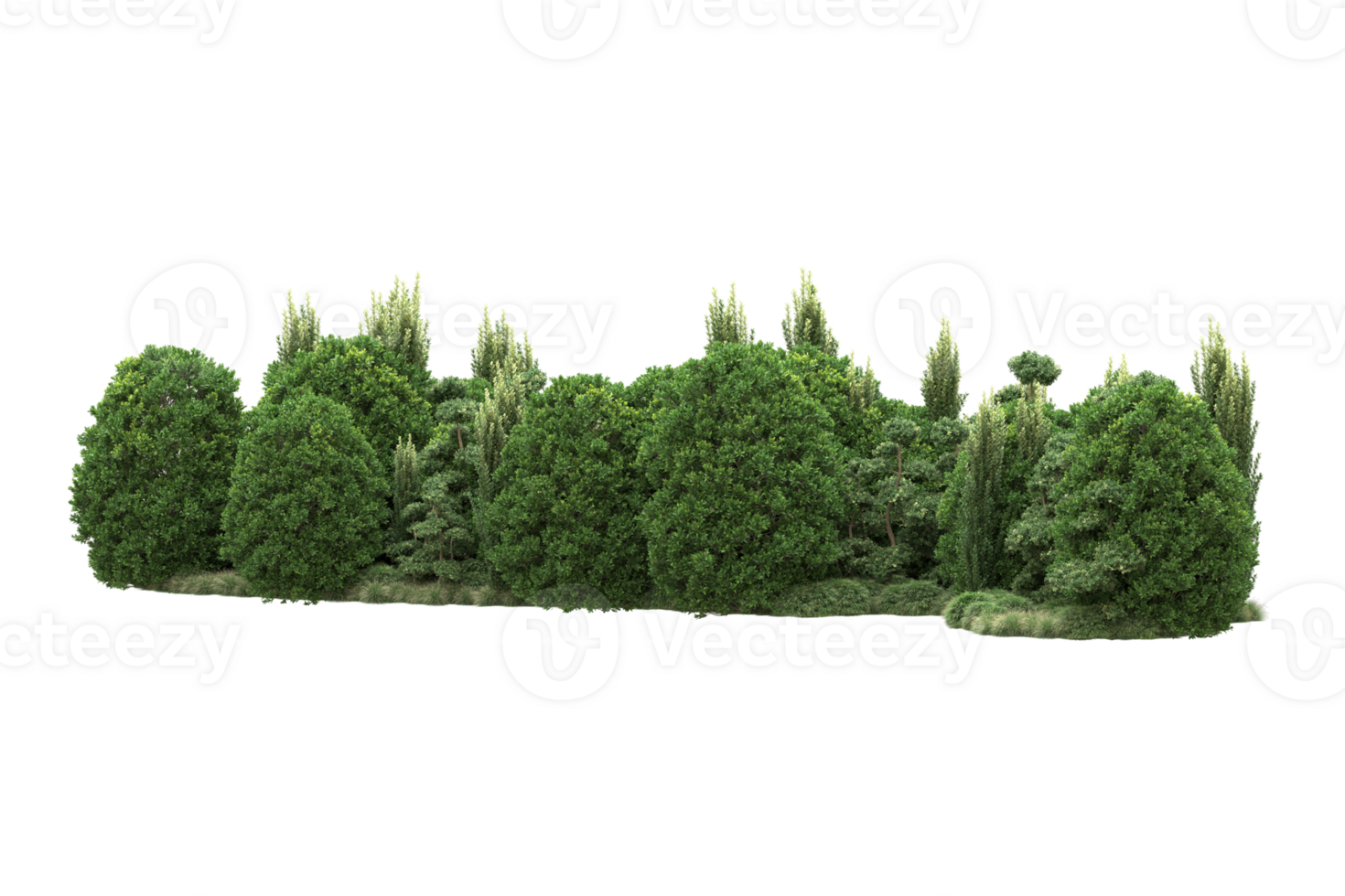 Realistic forest isolated on transparent background. 3d rendering - illustration png
