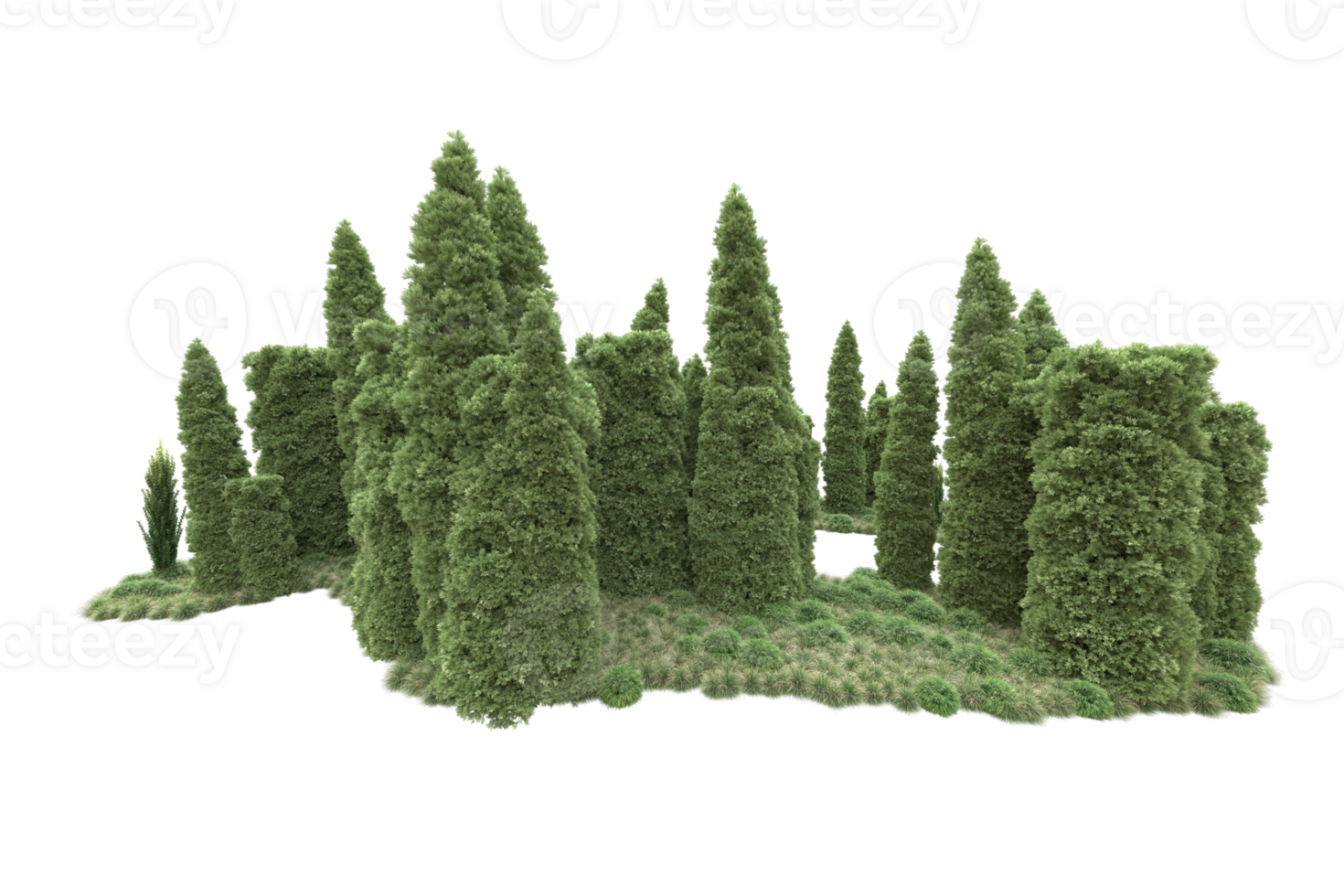 Realistic forest isolated on transparent background. 3d rendering - illustration png