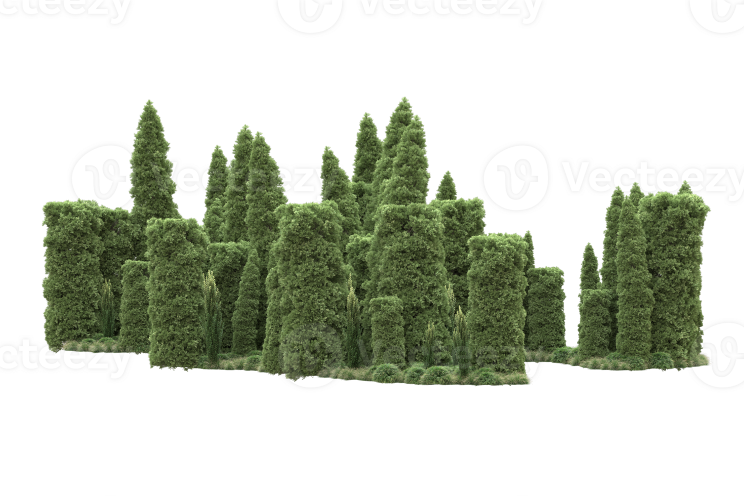 Realistic forest isolated on transparent background. 3d rendering - illustration png
