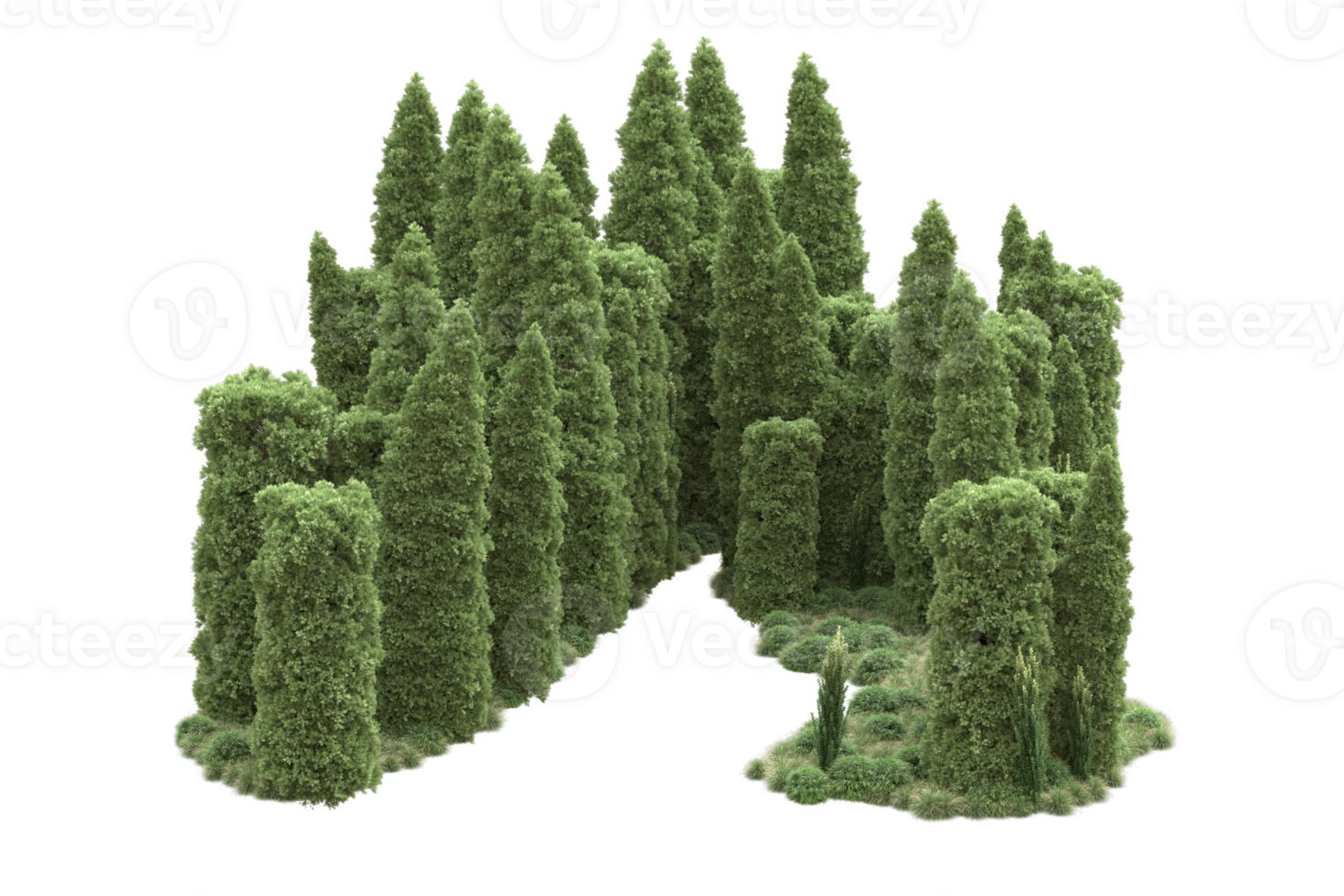 Realistic forest isolated on transparent background. 3d rendering - illustration png