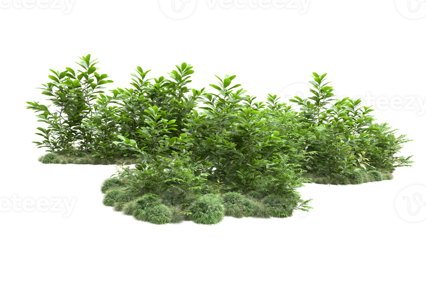 Realistic forest isolated on transparent background. 3d rendering - illustration png