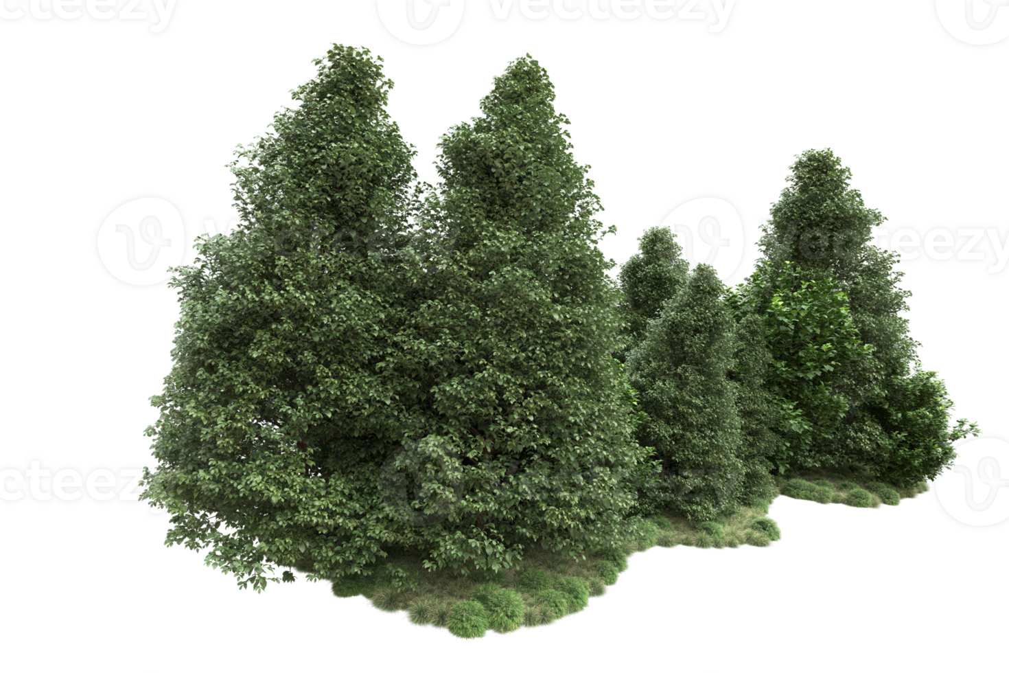 Realistic forest isolated on transparent background. 3d rendering - illustration png