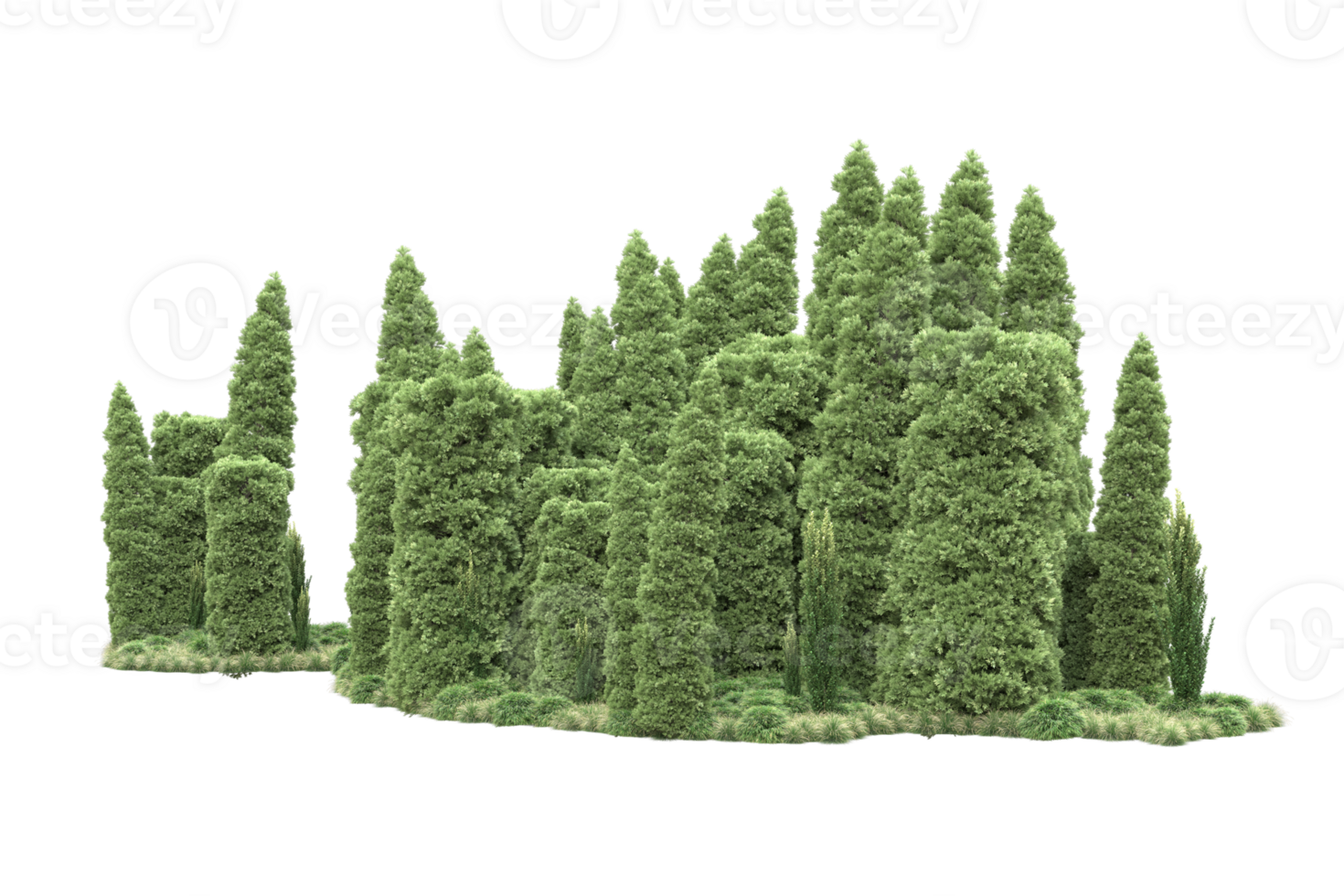 Realistic forest isolated on transparent background. 3d rendering - illustration png