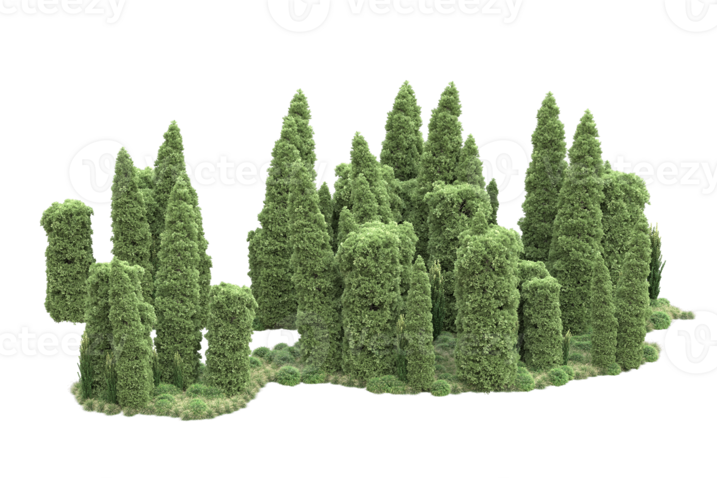 Realistic forest isolated on transparent background. 3d rendering - illustration png