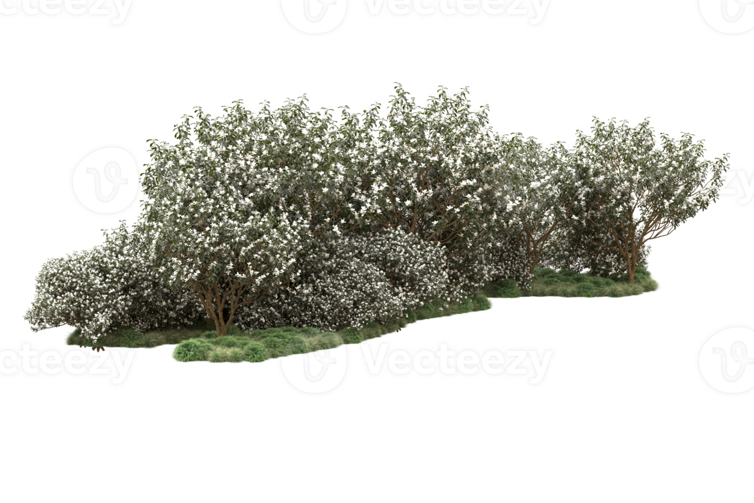 Realistic forest isolated on transparent background. 3d rendering - illustration png
