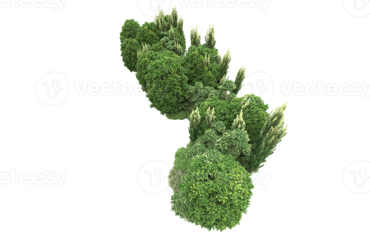 Realistic forest isolated on transparent background. 3d rendering - illustration png