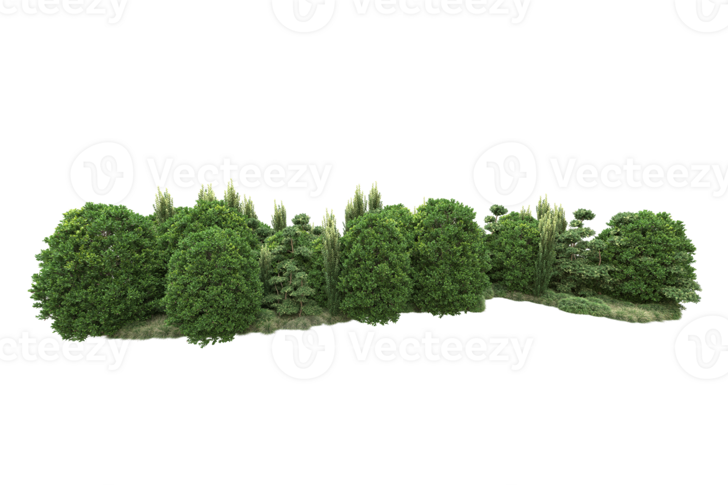 Realistic forest isolated on transparent background. 3d rendering - illustration png
