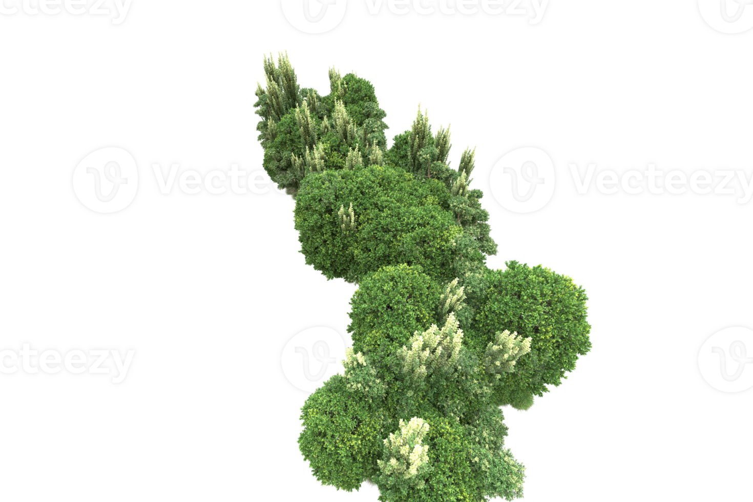 Realistic forest isolated on transparent background. 3d rendering - illustration png