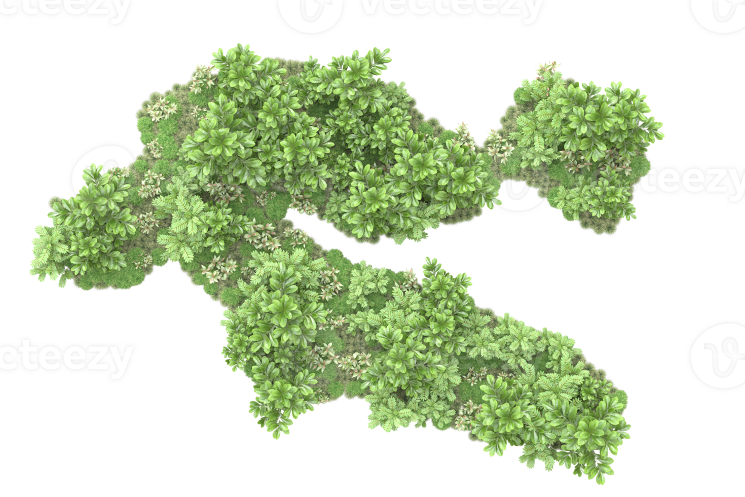 Realistic forest isolated on transparent background. 3d rendering - illustration png