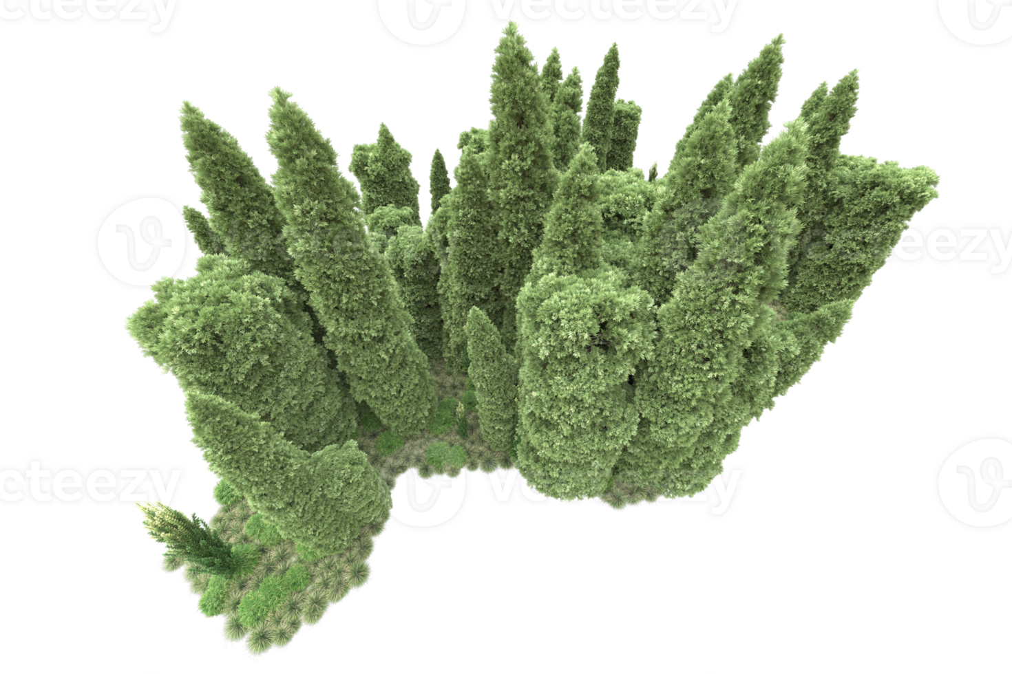 Realistic forest isolated on transparent background. 3d rendering - illustration png
