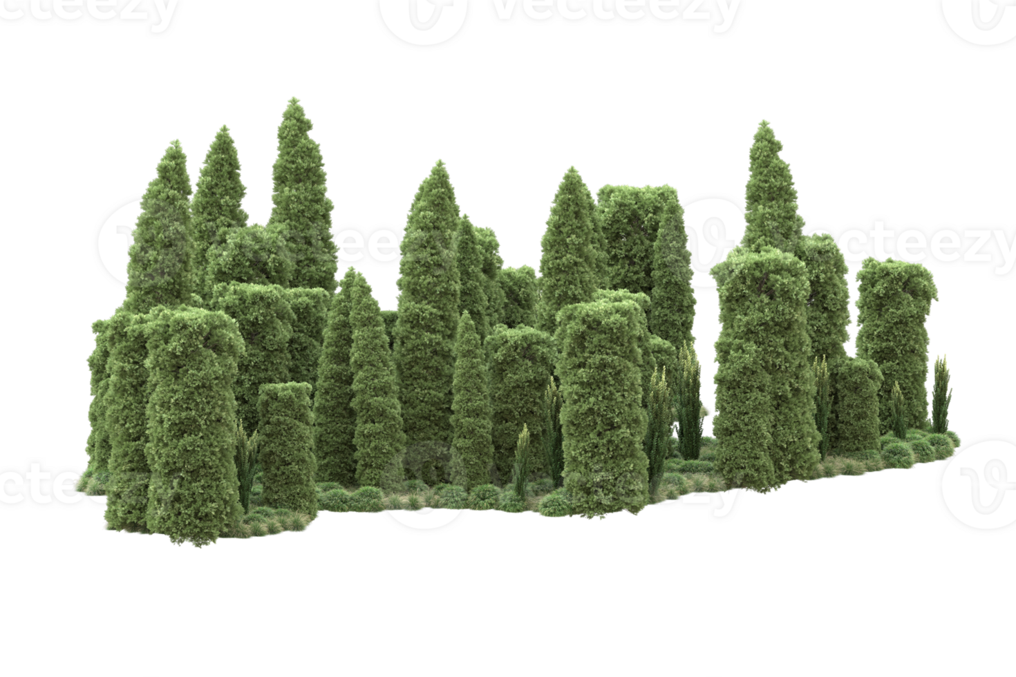 Realistic forest isolated on transparent background. 3d rendering - illustration png