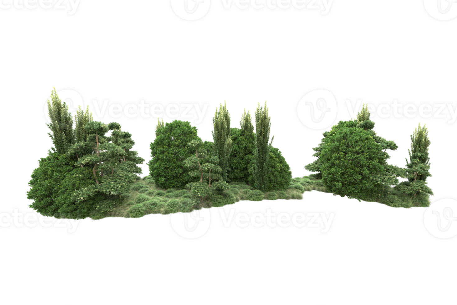 Realistic forest isolated on transparent background. 3d rendering - illustration png