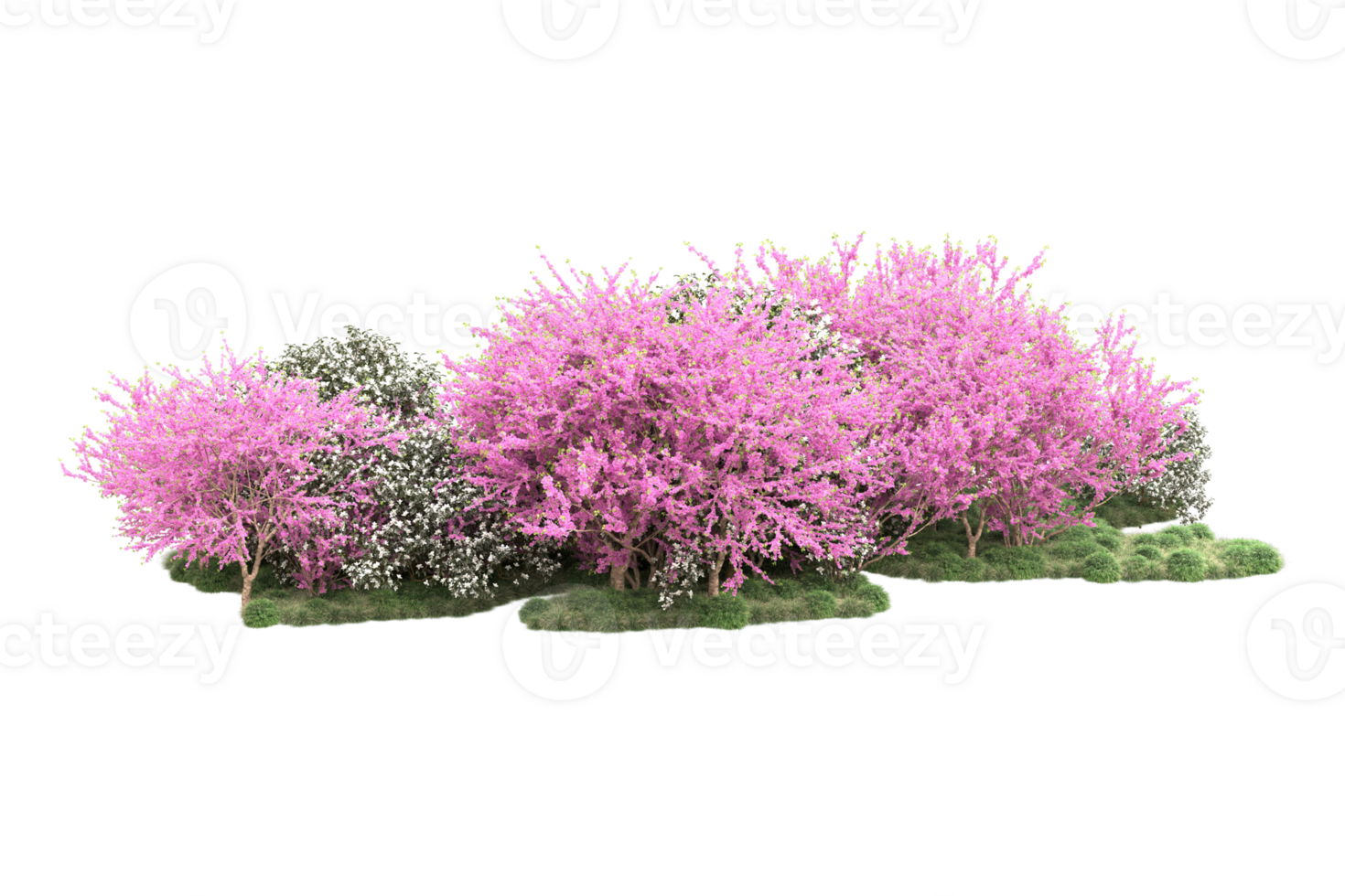Realistic forest isolated on transparent background. 3d rendering - illustration png